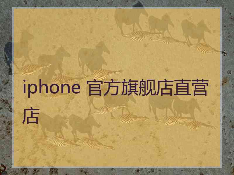 iphone 官方旗舰店直营店