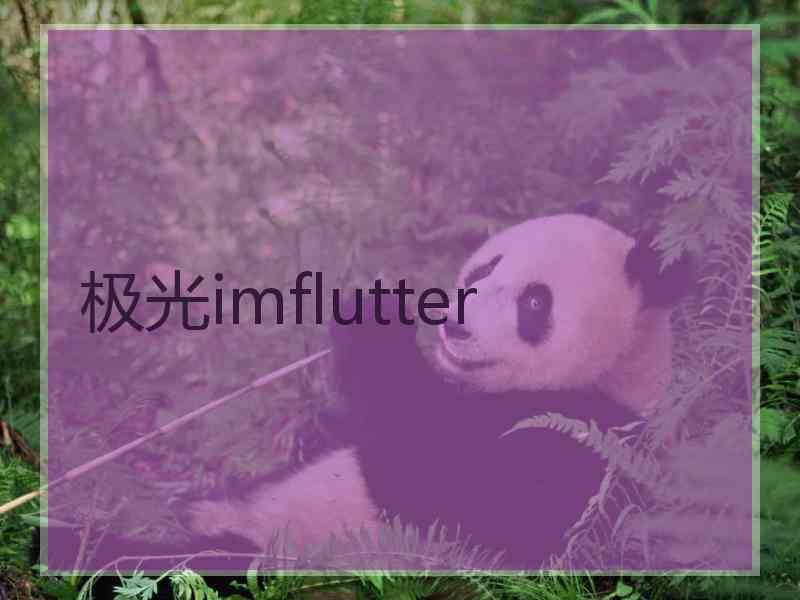 极光imflutter