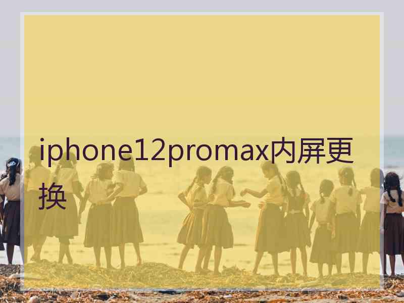 iphone12promax内屏更换