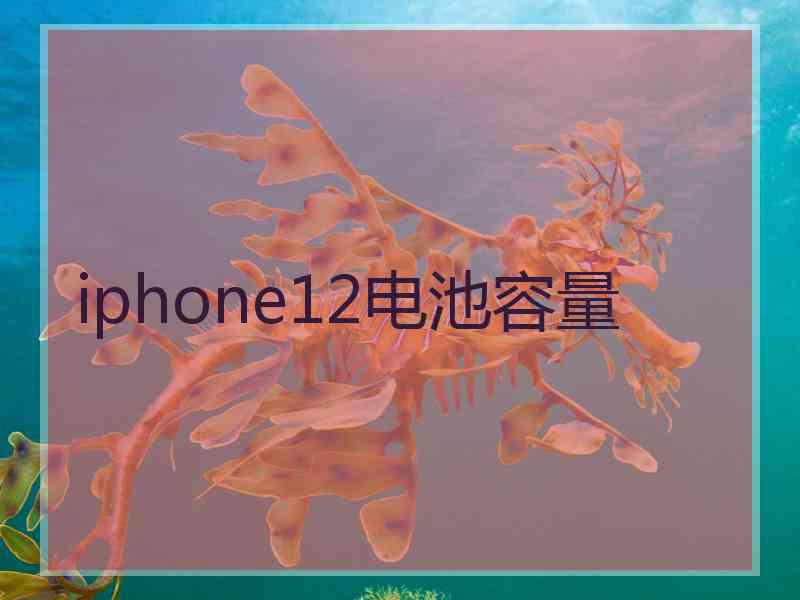 iphone12电池容量