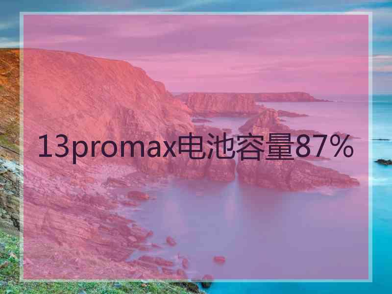 13promax电池容量87%