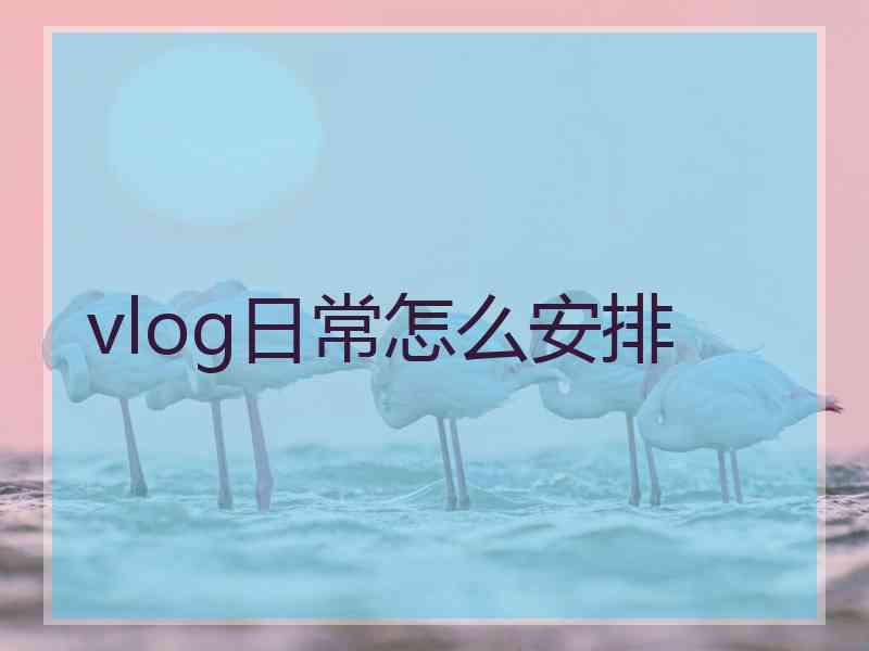 vlog日常怎么安排