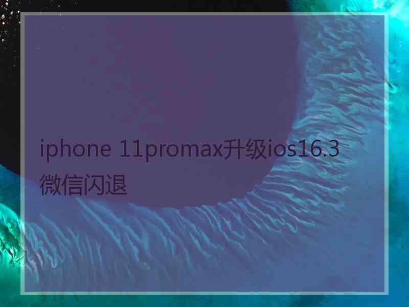 iphone 11promax升级ios16.3微信闪退