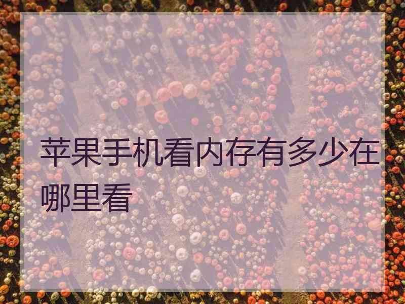 苹果手机看内存有多少在哪里看