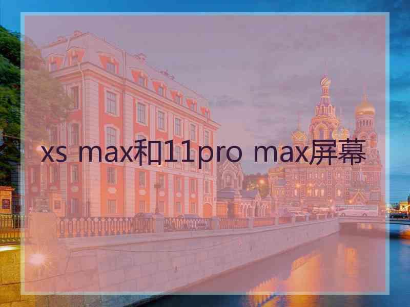 xs max和11pro max屏幕