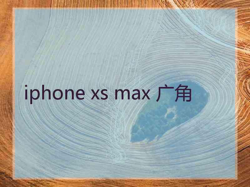 iphone xs max 广角