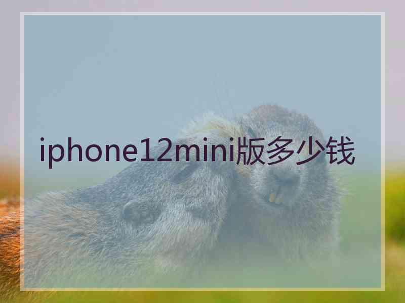 iphone12mini版多少钱