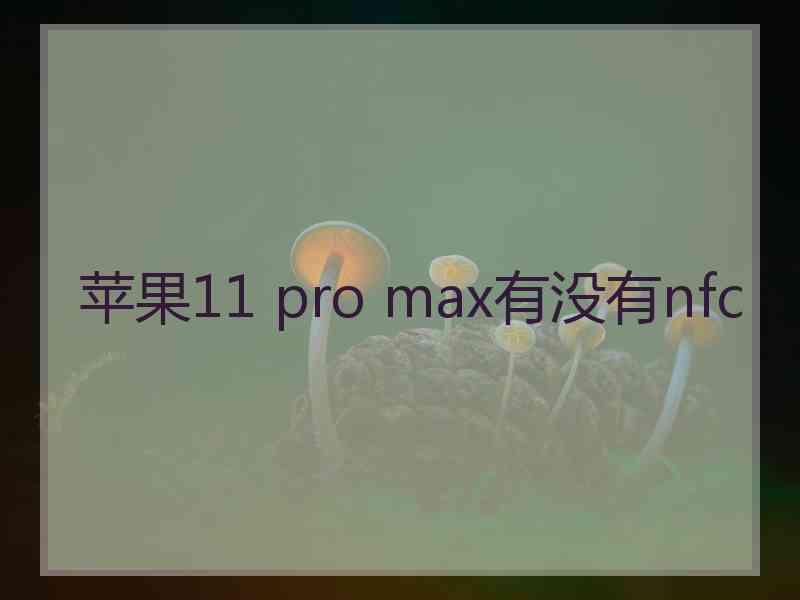 苹果11 pro max有没有nfc