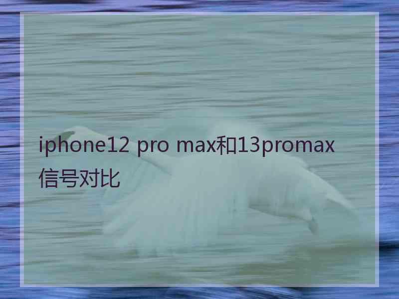 iphone12 pro max和13promax信号对比