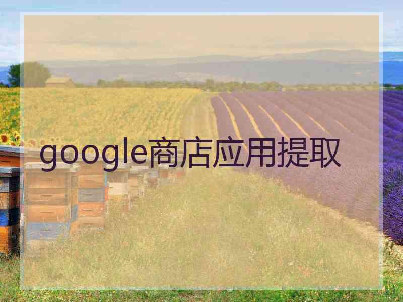 google商店应用提取