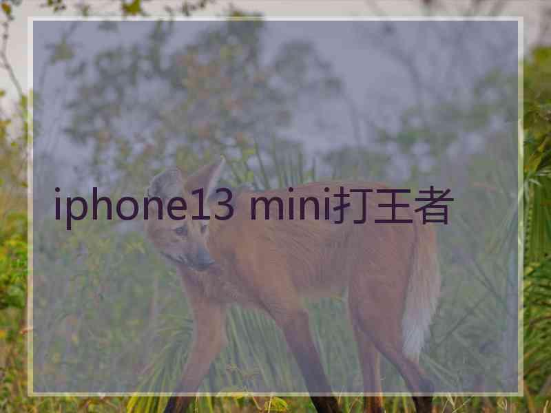 iphone13 mini打王者