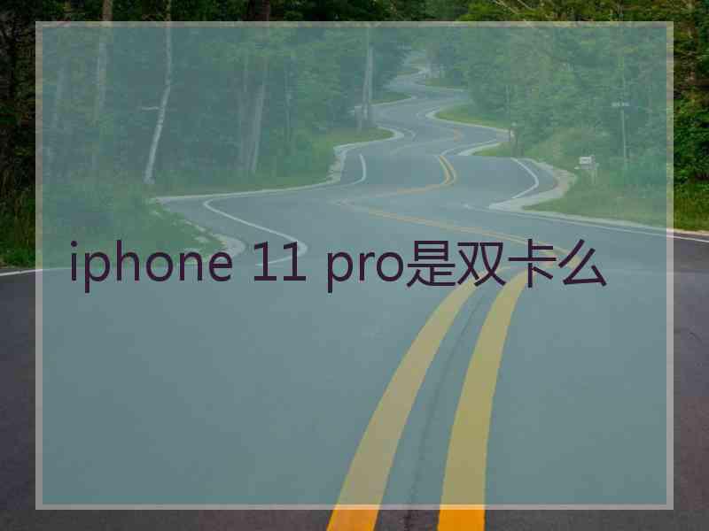 iphone 11 pro是双卡么