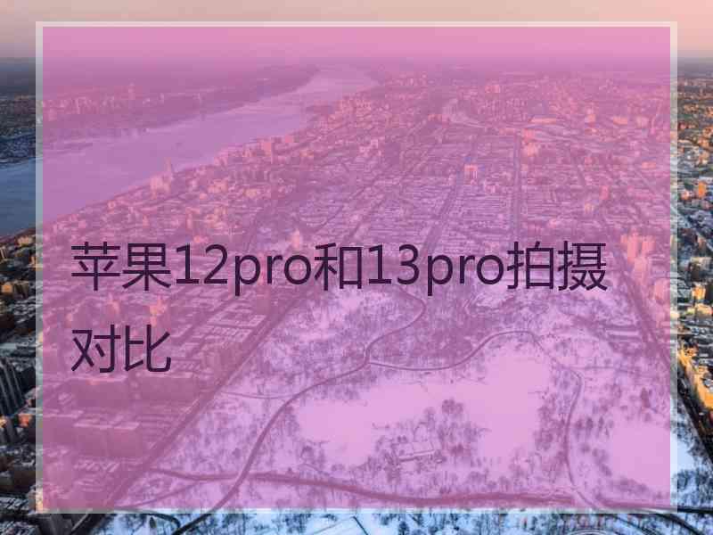 苹果12pro和13pro拍摄对比