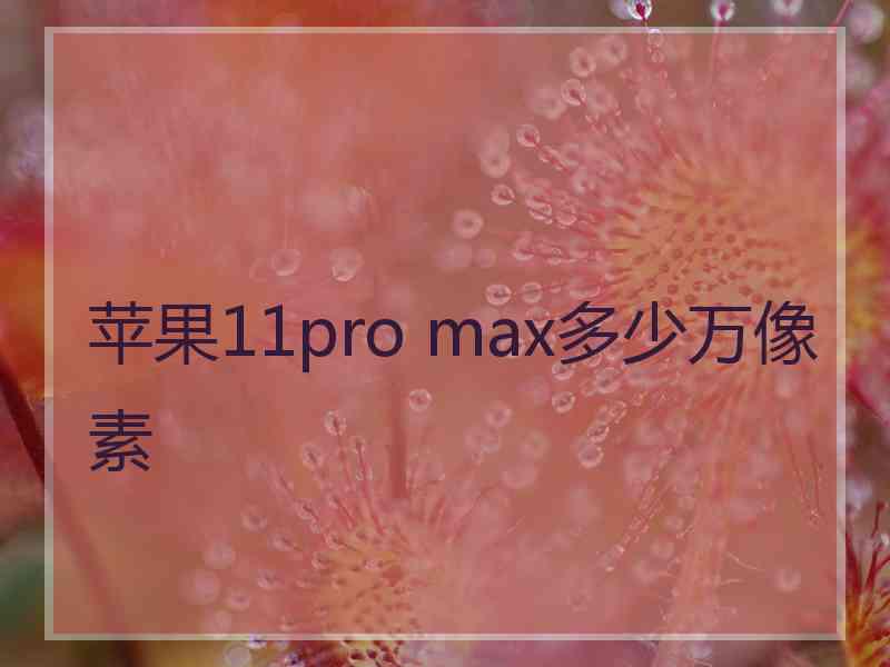 苹果11pro max多少万像素