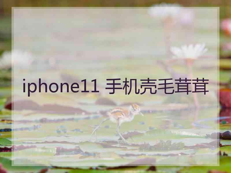 iphone11 手机壳毛茸茸