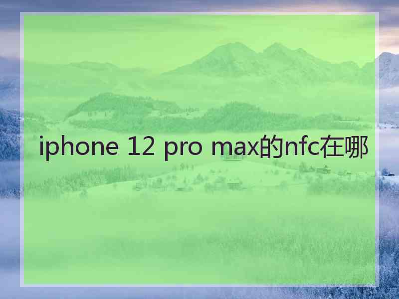 iphone 12 pro max的nfc在哪