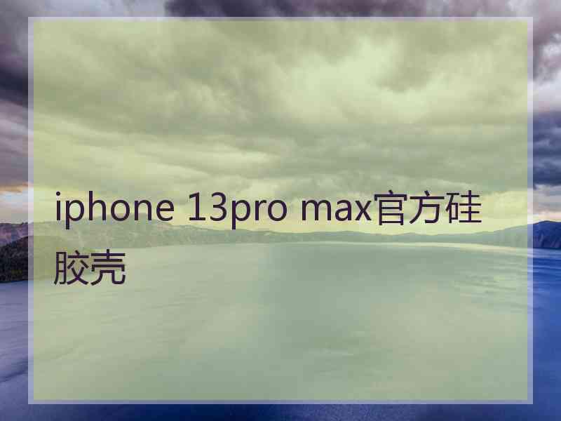 iphone 13pro max官方硅胶壳