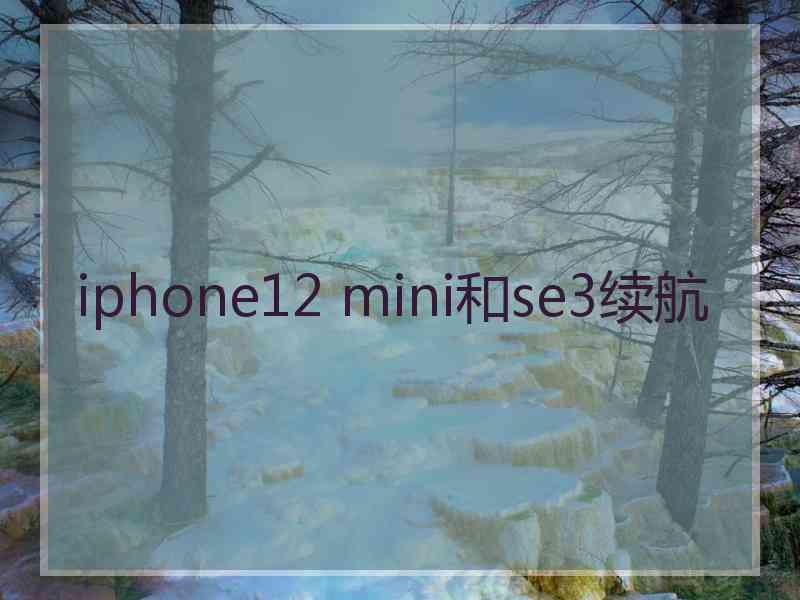 iphone12 mini和se3续航