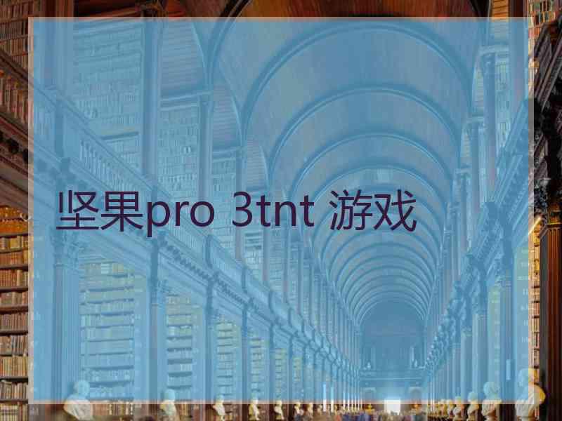 坚果pro 3tnt 游戏