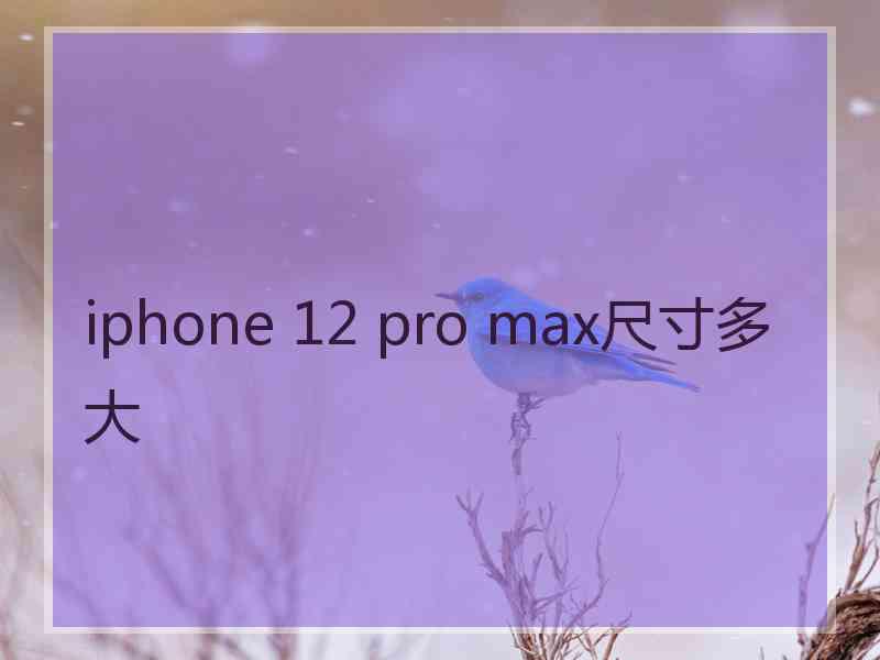 iphone 12 pro max尺寸多大