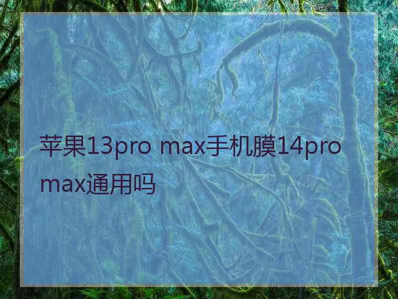 苹果13pro max手机膜14promax通用吗