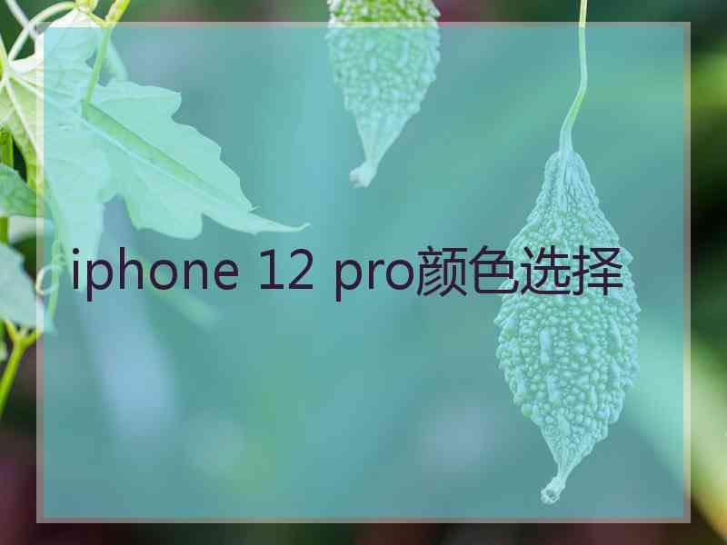 iphone 12 pro颜色选择