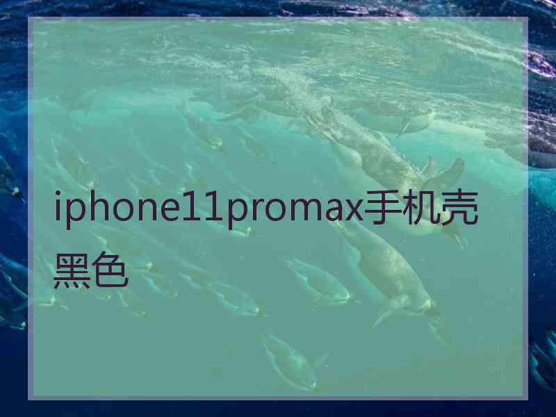 iphone11promax手机壳黑色