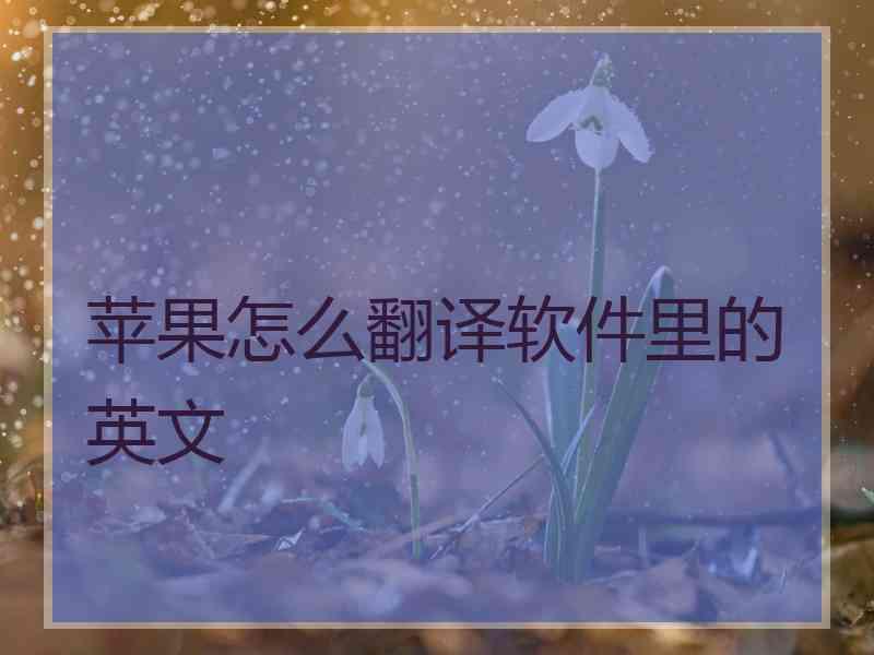 苹果怎么翻译软件里的英文