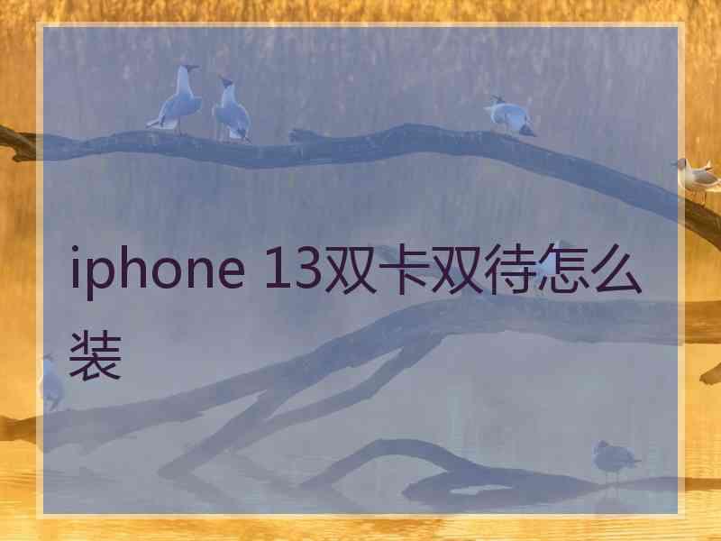 iphone 13双卡双待怎么装