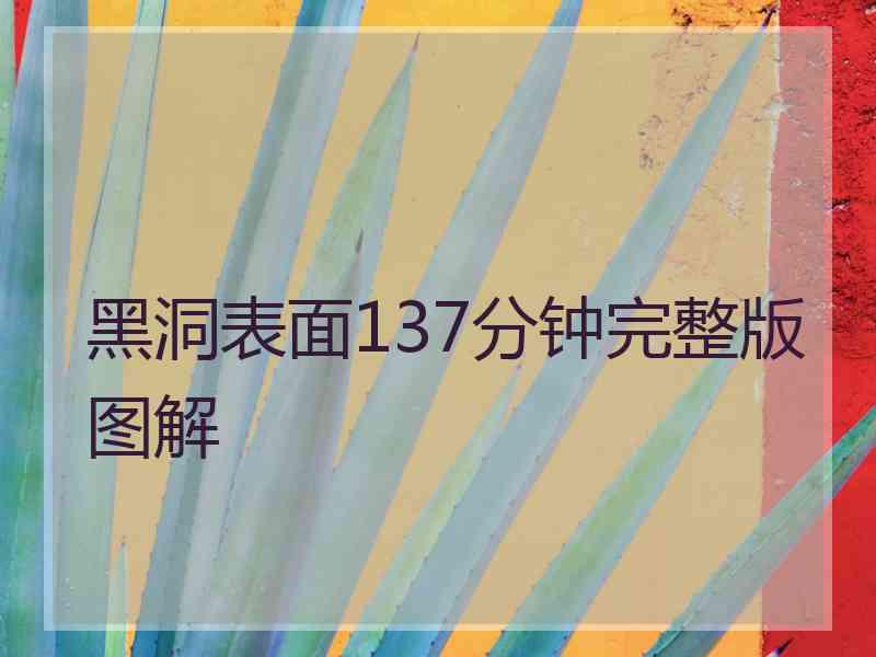 黑洞表面137分钟完整版图解