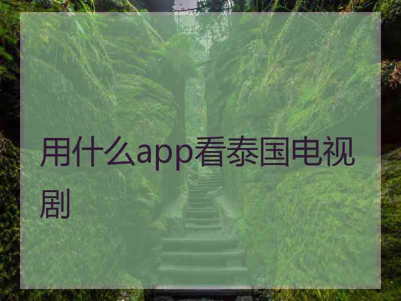 用什么app看泰国电视剧