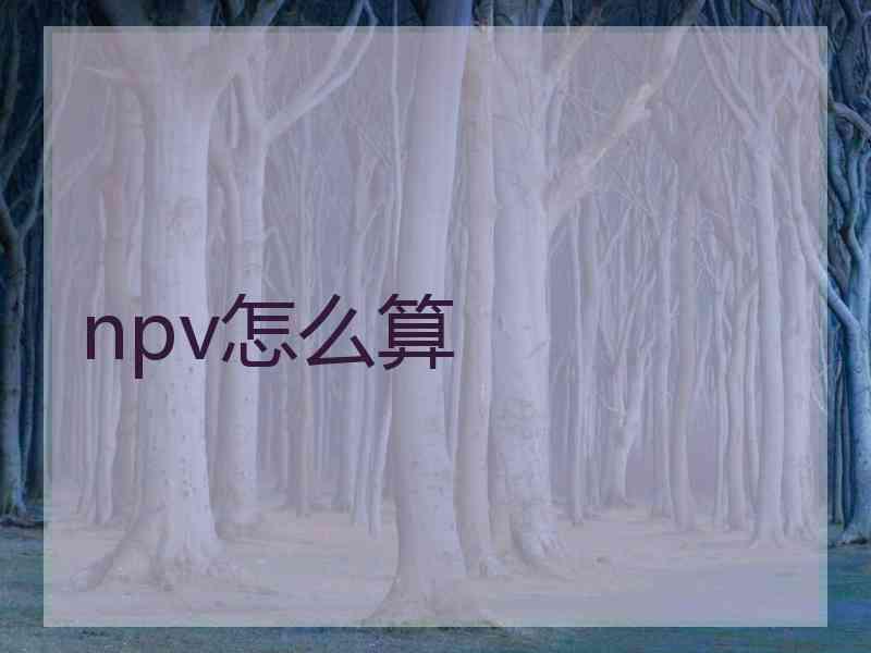 npv怎么算