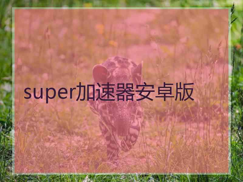 super加速器安卓版