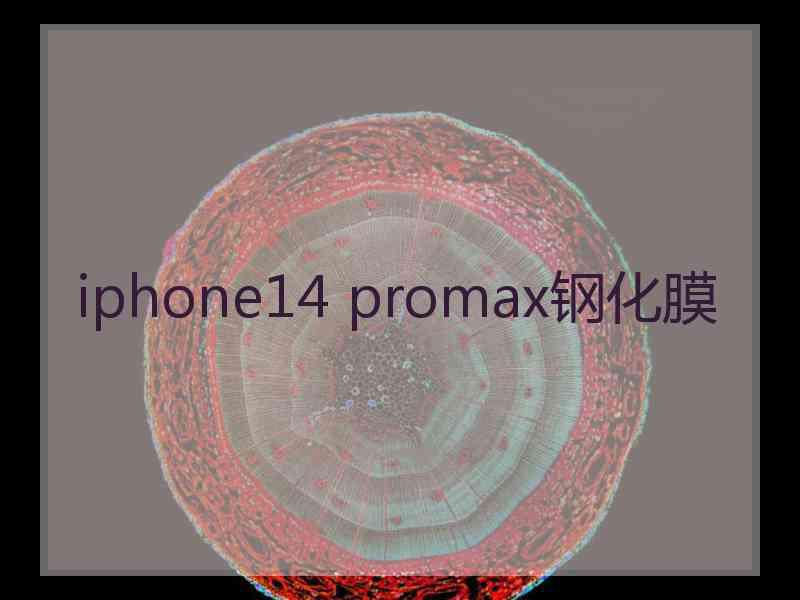 iphone14 promax钢化膜