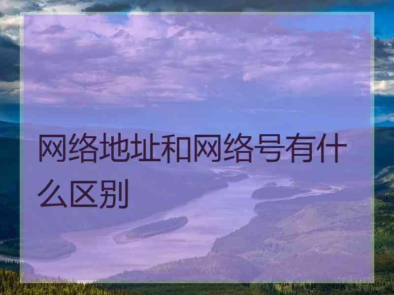 网络地址和网络号有什么区别