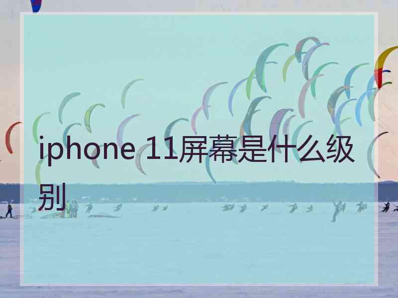 iphone 11屏幕是什么级别