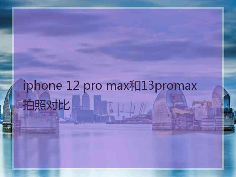 iphone 12 pro max和13promax拍照对比