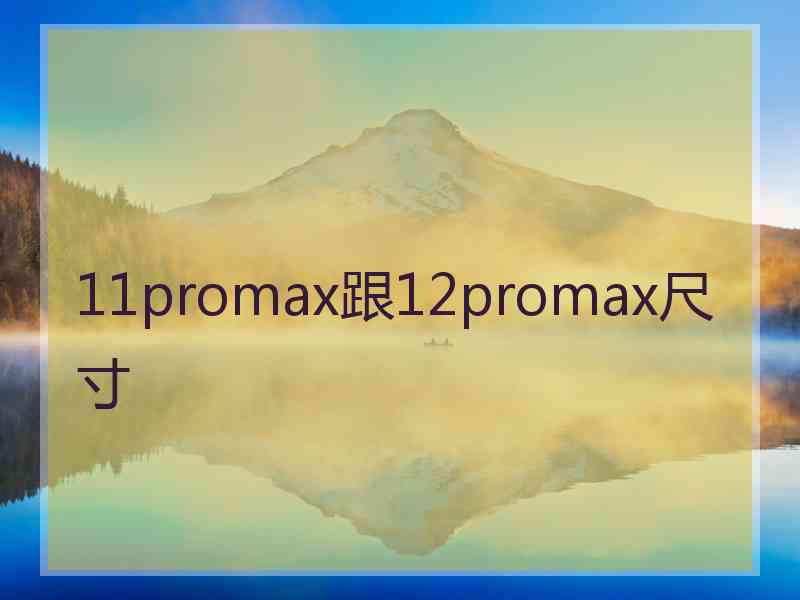 11promax跟12promax尺寸