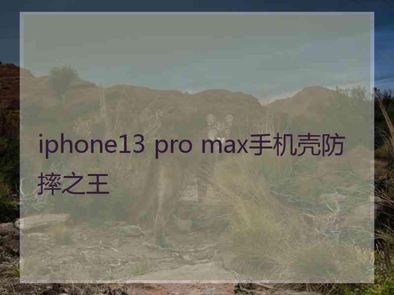 iphone13 pro max手机壳防摔之王