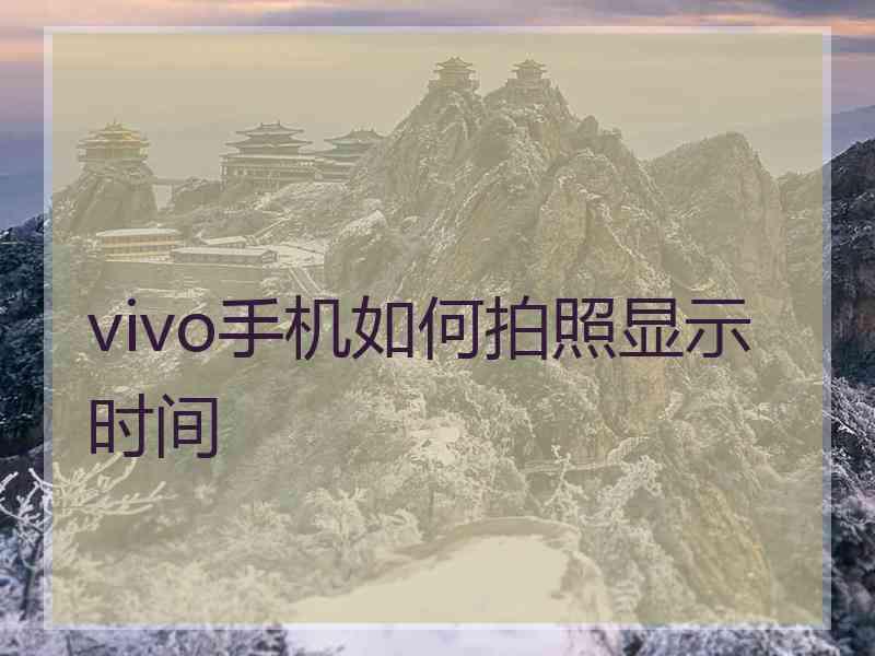 vivo手机如何拍照显示时间