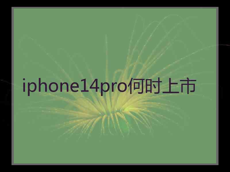 iphone14pro何时上市