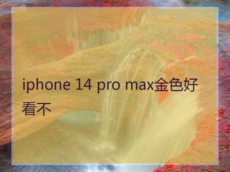 iphone 14 pro max金色好看不