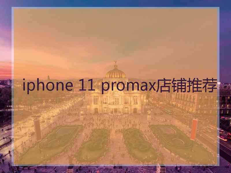 iphone 11 promax店铺推荐