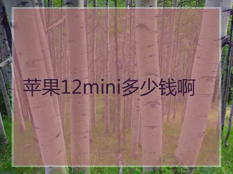 苹果12mini多少钱啊