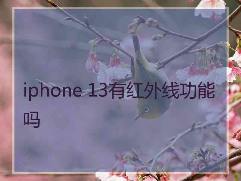 iphone 13有红外线功能吗