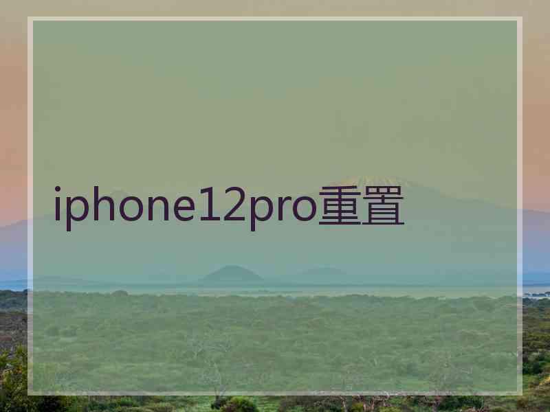 iphone12pro重置