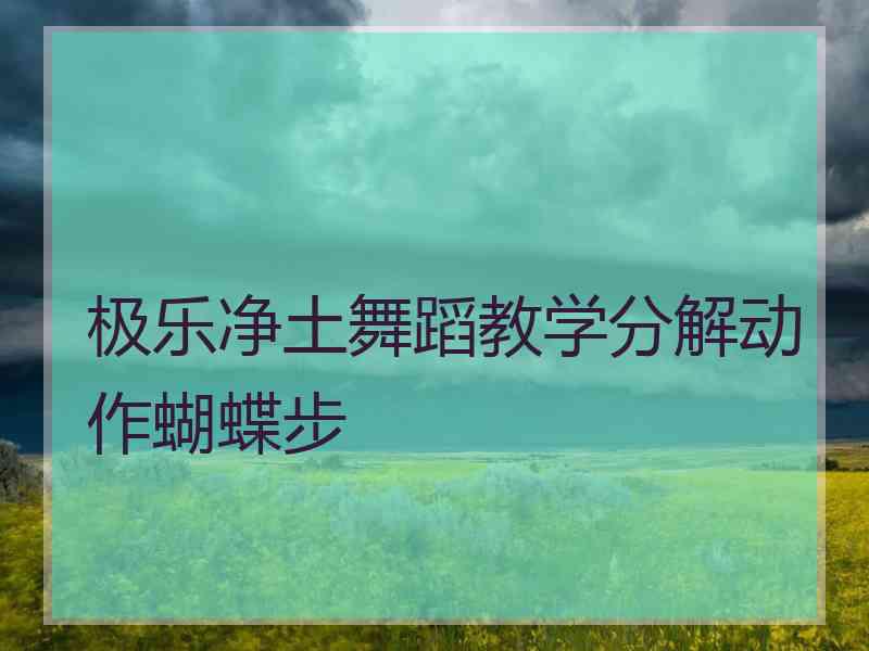 极乐净土舞蹈教学分解动作蝴蝶步