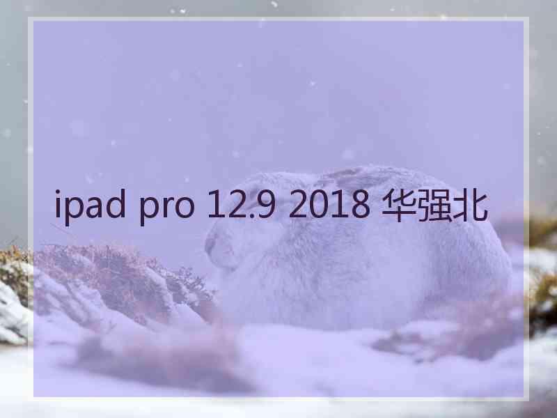 ipad pro 12.9 2018 华强北