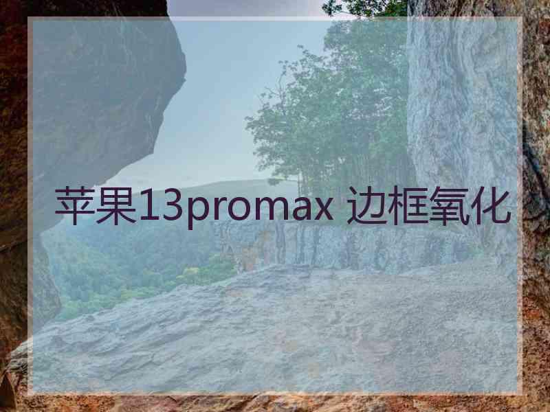 苹果13promax 边框氧化