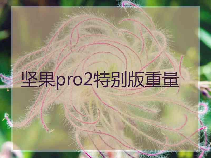 坚果pro2特别版重量